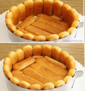 Preparing the no-cook peach charlotte base with ladyfingers and peaches