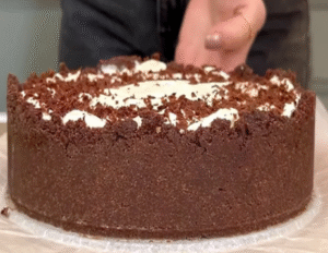 finished no bake caramel caramel cheesecake with chocolate shavings