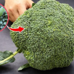 how to clean broccoli properly step by step