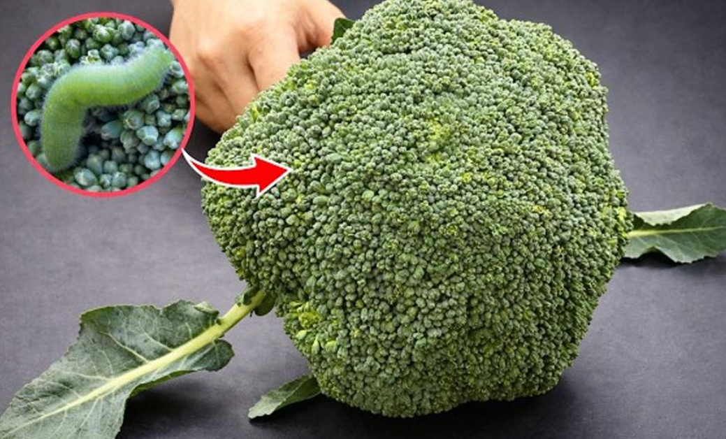 how to clean broccoli properly step by step