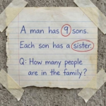 family riddle showing nine sons and one sister puzzle
