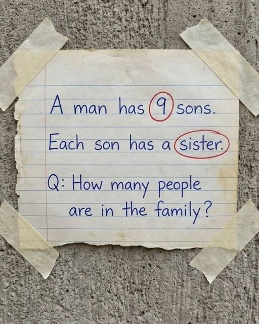 family riddle showing nine sons and one sister puzzle
