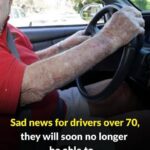 Senior drivers over 70 preparing their vehicle for safe driving