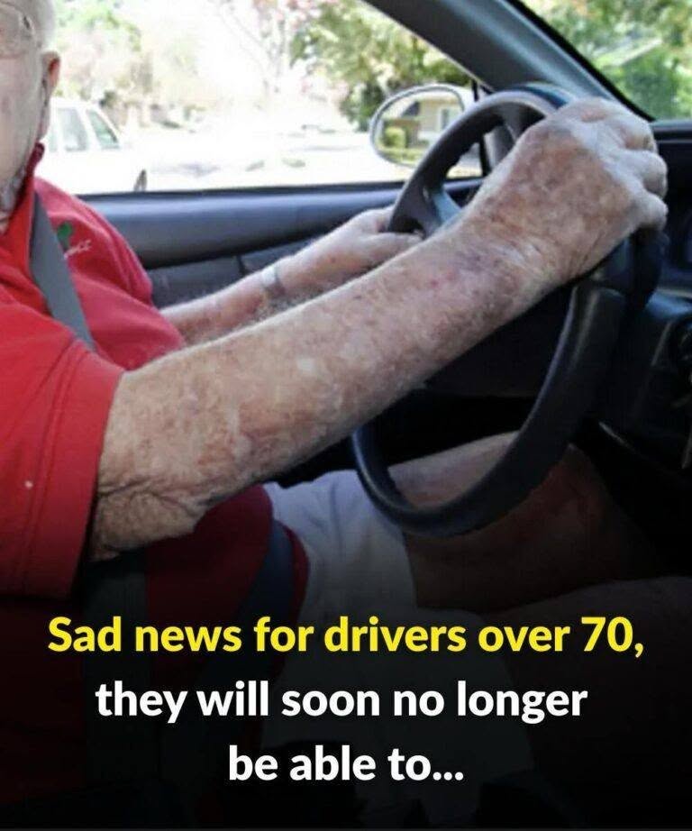Senior drivers over 70 preparing their vehicle for safe driving