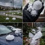 hail storm showing large hailstones and weather damage