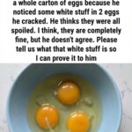 White string in egg attached to three yolks in a bowl