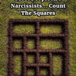 count the squares puzzle
