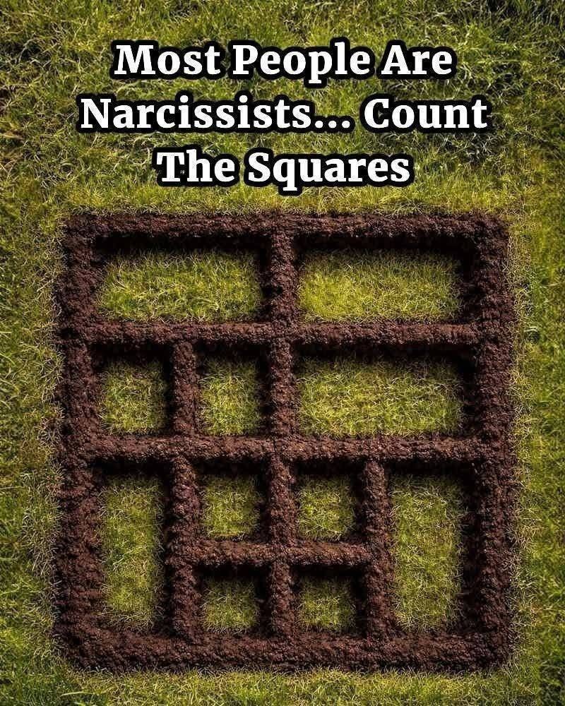 count the squares puzzle