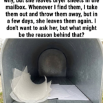 dryer sheets placed inside a mailbox as a household tip idea