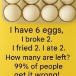 6 egg riddle showing six eggs and asking how many are left