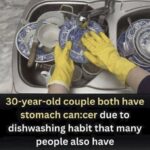 Dishwashing habits and stomach cancer risk