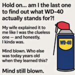 WD-40 can with common household and workshop uses