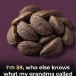 Brazil nuts in their natural textured shells