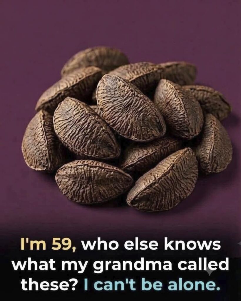Brazil nuts in their natural textured shells
