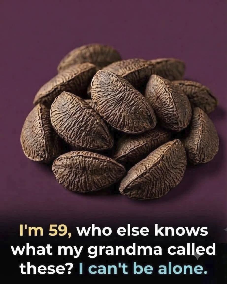 Brazil nuts in their natural textured shells