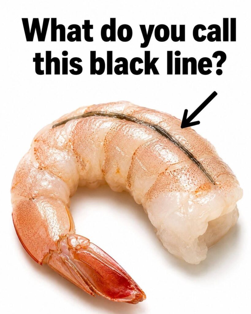 How to devein shrimp by removing the digestive tract along the back