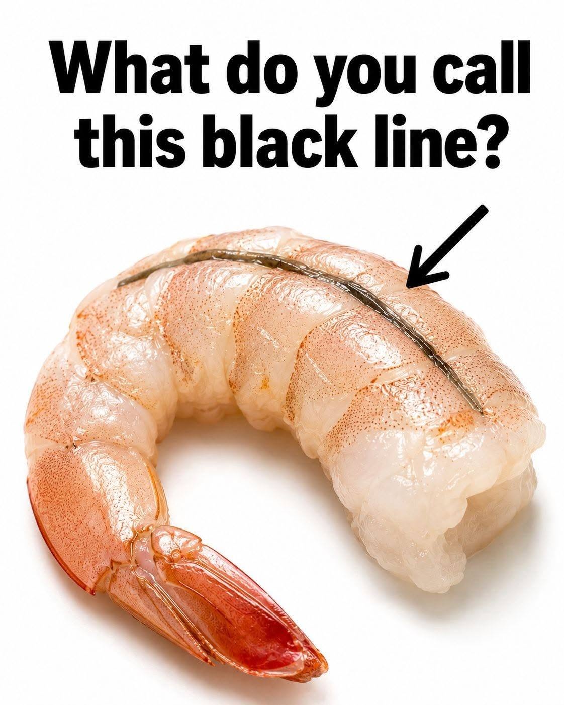 How to devein shrimp by removing the digestive tract along the back