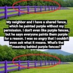 purple fence meaning