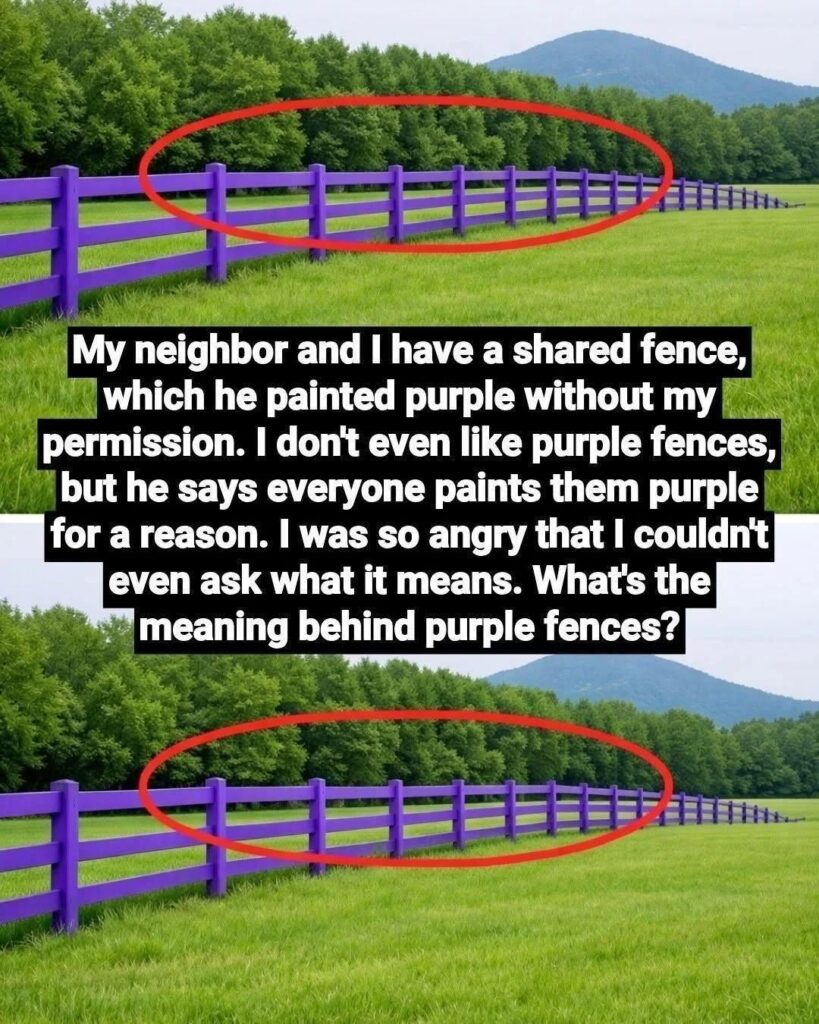 purple fence meaning